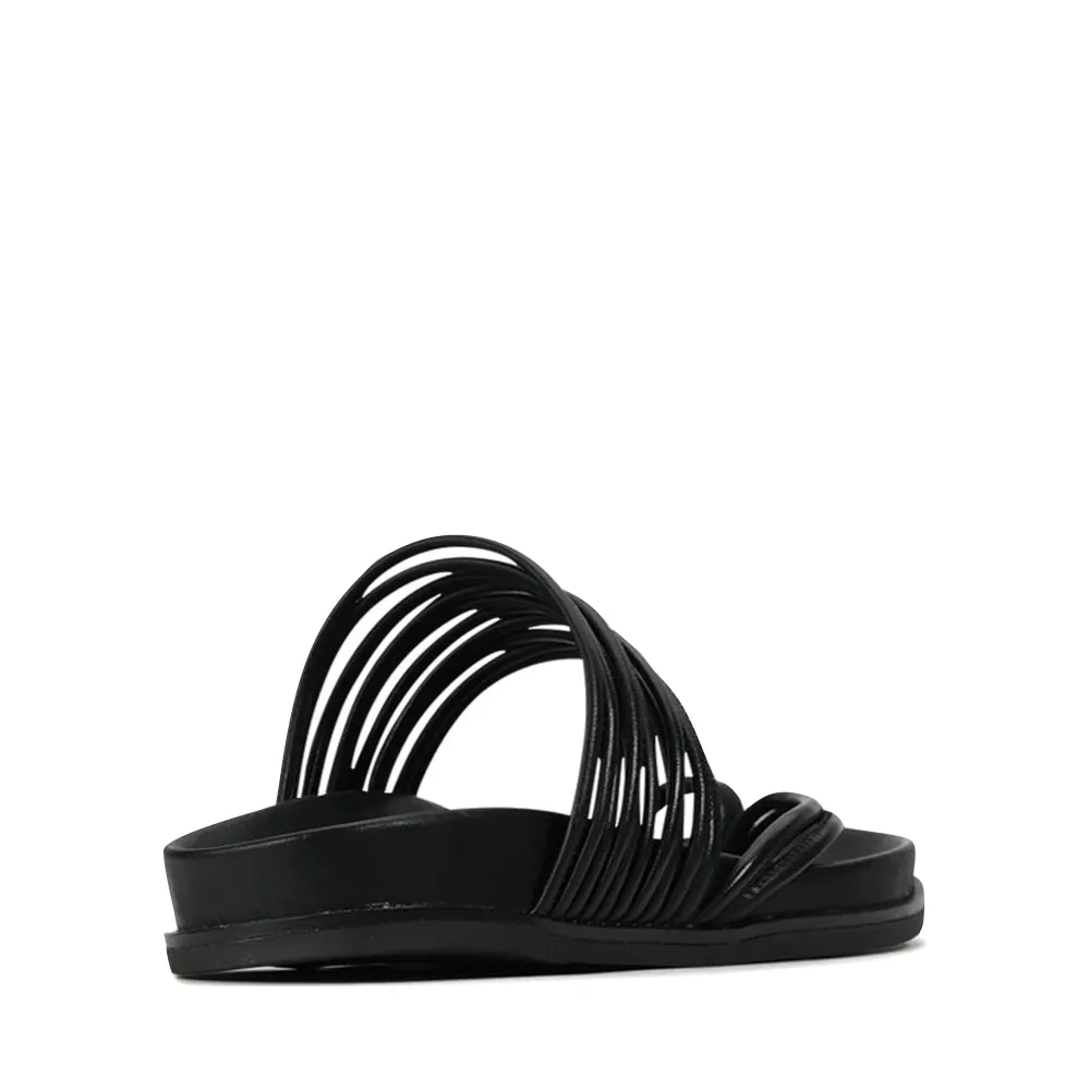 EOS Women's Carmella Toe Loop Sandal in Black