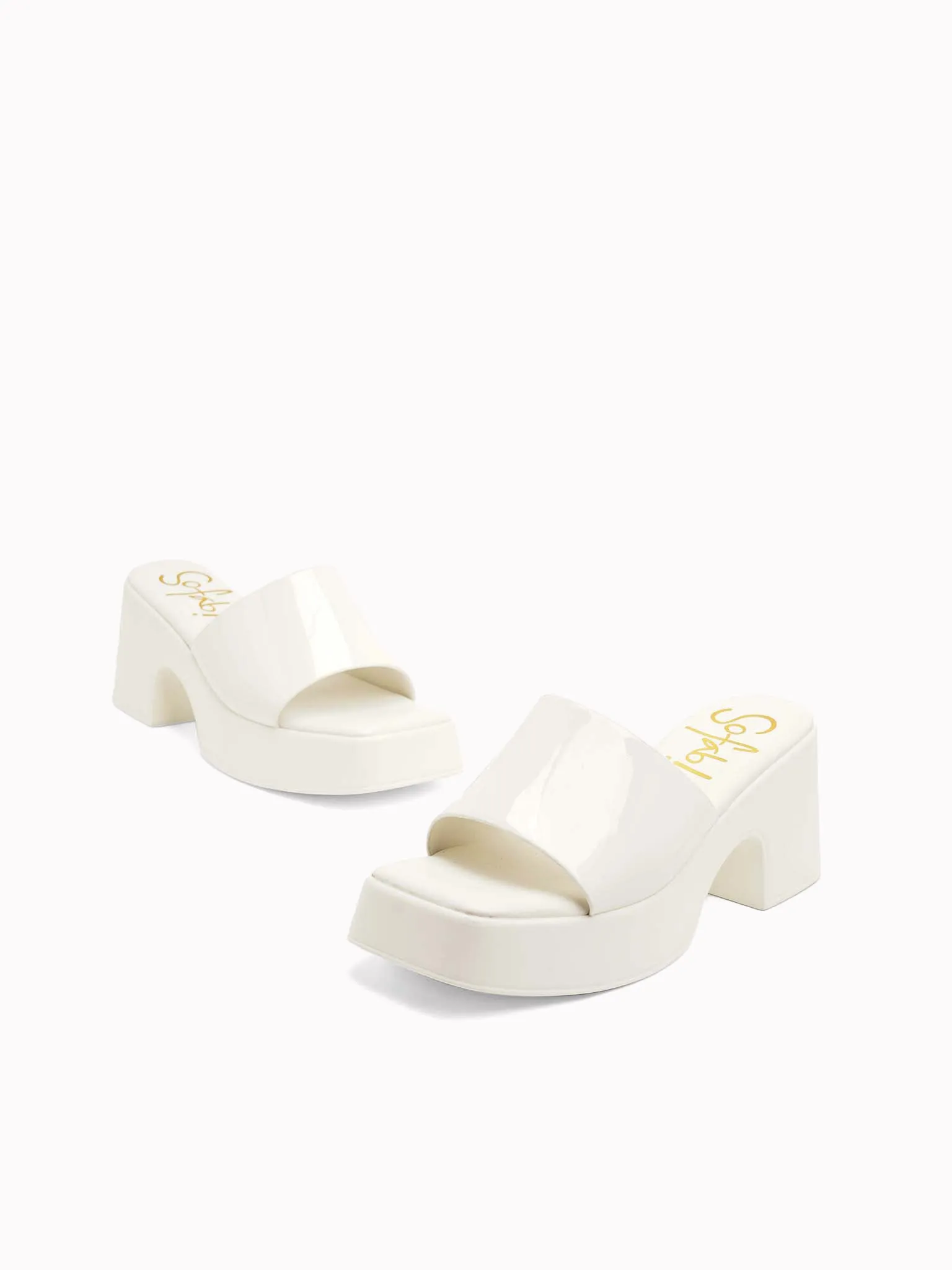 Katelyn Platform Slides