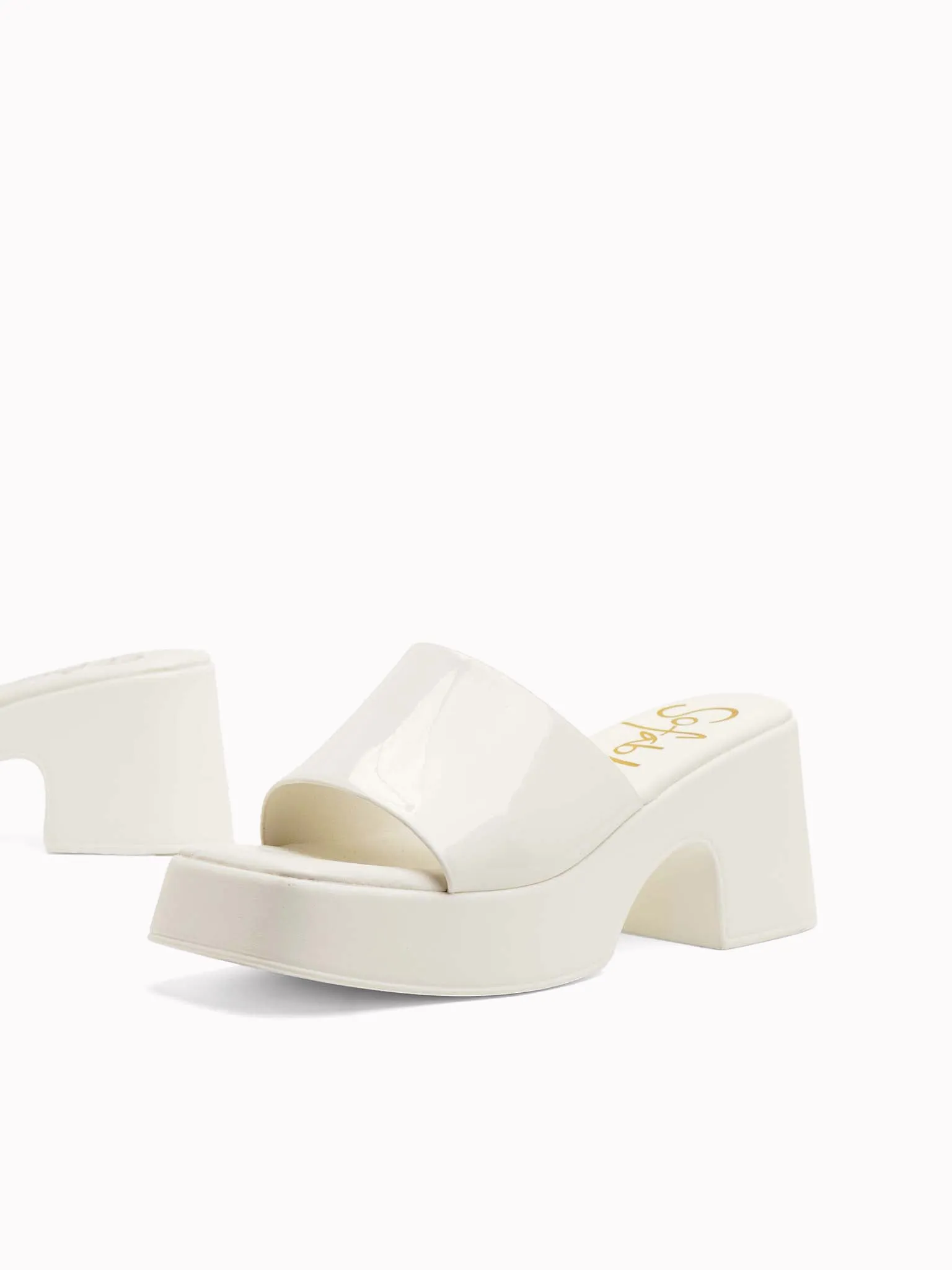 Katelyn Platform Slides