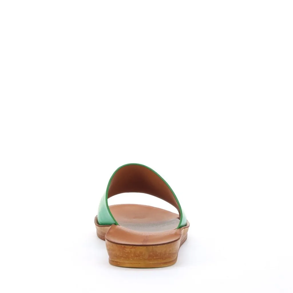 Kes Slides