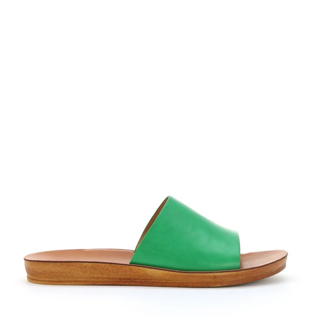 Kes Slides