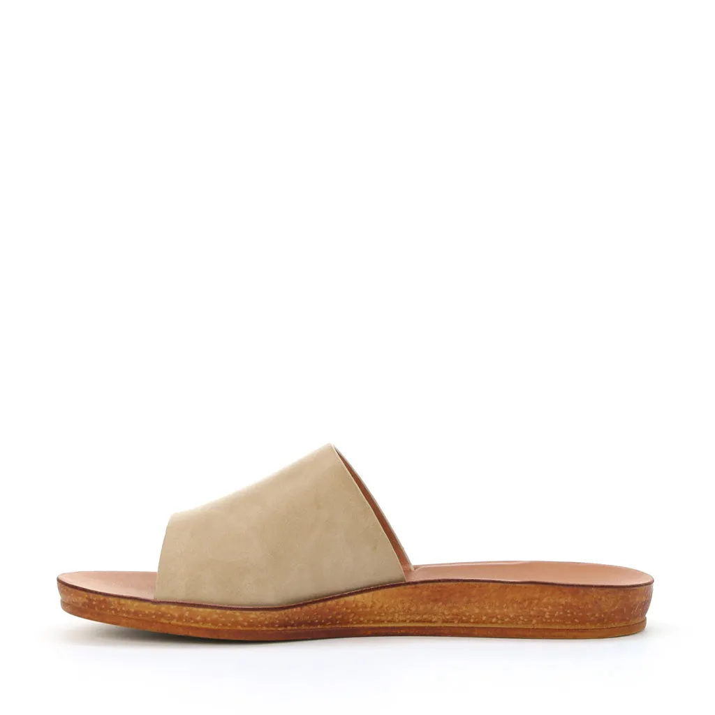Kes Slides