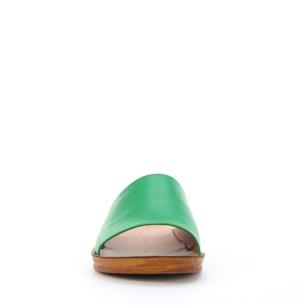 Kes Slides